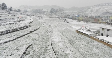 田野雪景图片