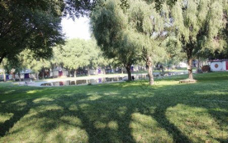 赛汗塔拉公园内湖图片