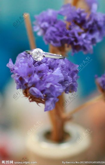 紫色花钻石戒指图片