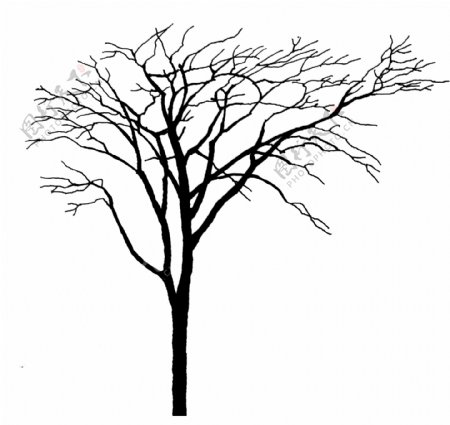 PS黑白树素材图片