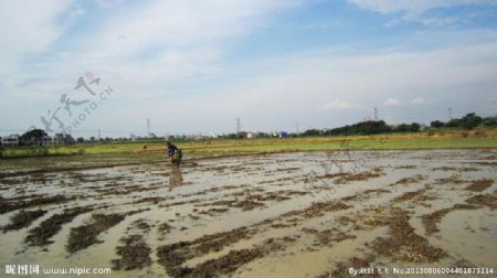 湘潭农村风光图片