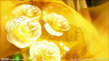 金色花朵背景视频素材