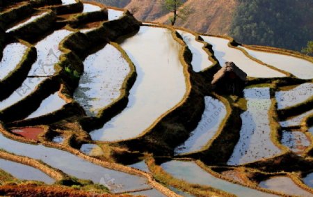 新山梯田图片