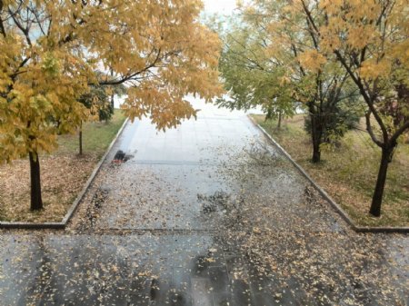 雨景图片