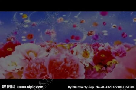 牡丹花LED背景视频