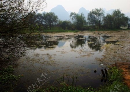 阳朔桃源图片