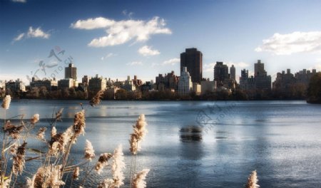 纽约中央公园湖景图片