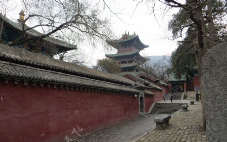 少林寺春景图片