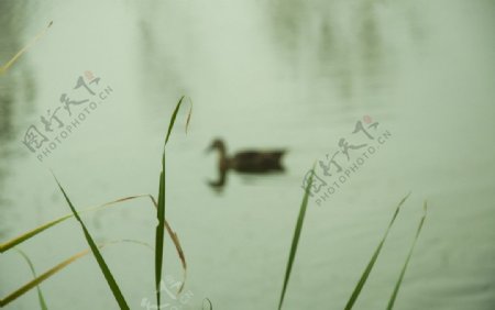 长春北湖公园图片