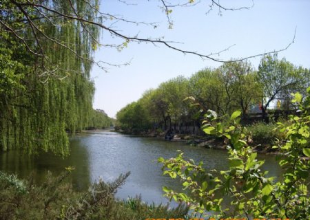 春来北京图片