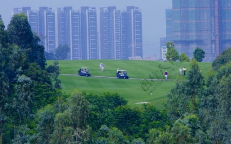 城市山水绿色高尔夫图片
