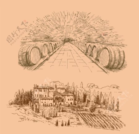 葡萄园酒庄手绘图片