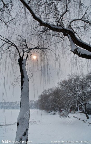 昆明湖的晴雪图片