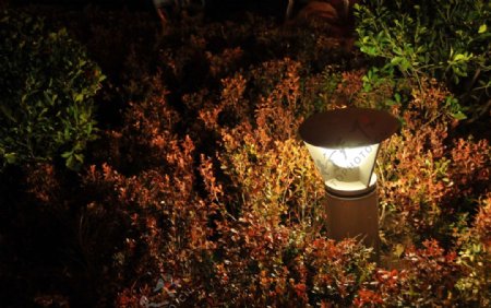 庭院夜景图片