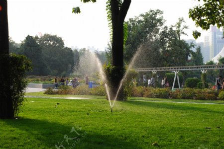 灌溉草坪的喷水器图片