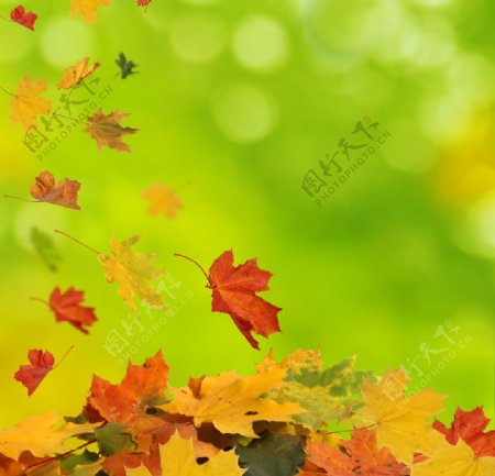 秋季风景高清图片