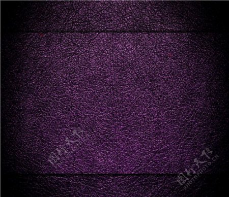 紫色皮革图片