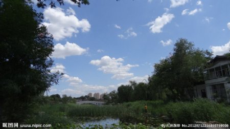 蓝天白云下的池塘图片