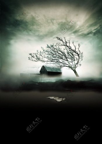 房屋枯树图片