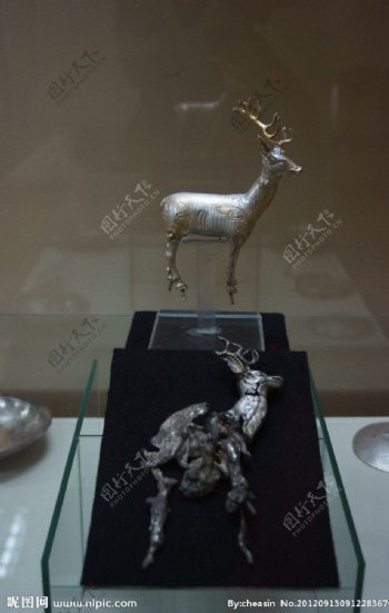 蒙古银鹿图片