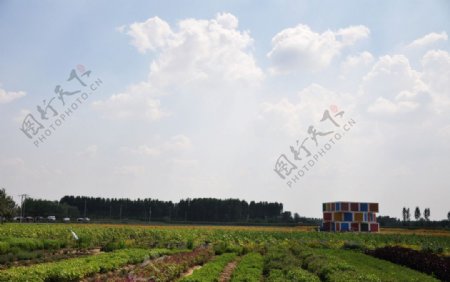 布拉格农场全景图片