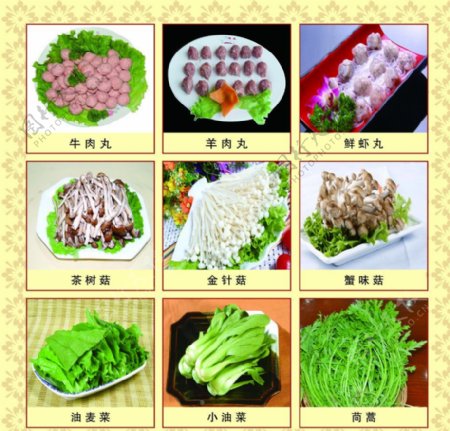 火锅菜品刊板图片