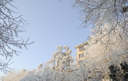 庐山雪后温暖图片