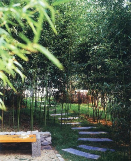 石板路竹子石凳绿荫青青惬意诗意地产图片