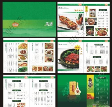 绿色清新的菜谱设计图片