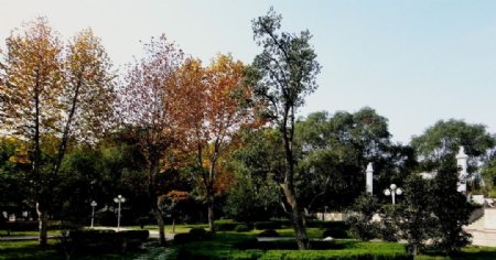 园林的秋天图片