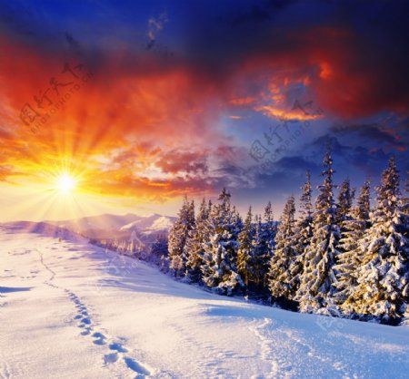 冬季雪景日落图片