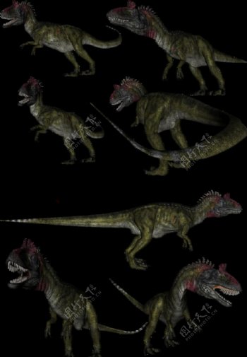 恐龙素材图片