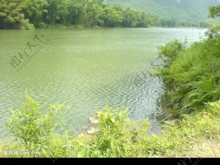 清清的水绿绿的竹图片