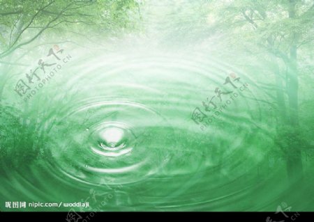 水滴水纹树林图片