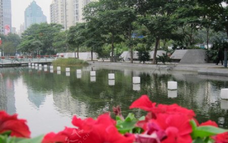 深圳南山天利商务广场水景图片