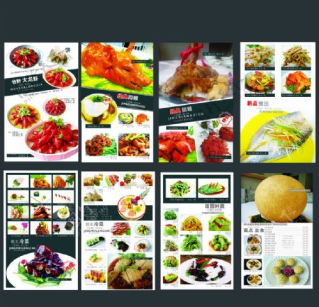 菜单菜谱设计图片