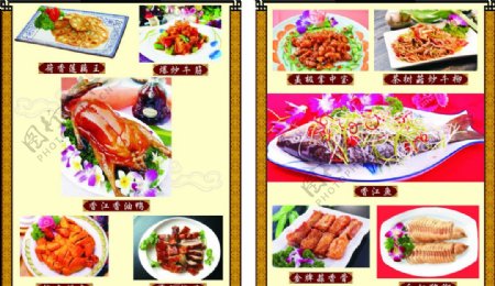香江菜图片