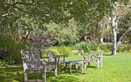 豪华别墅庄园里树荫下的木椅图片
