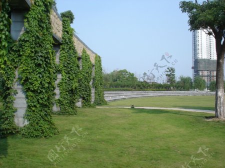 景墙绿化图片