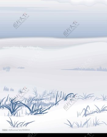 雪原小草图片