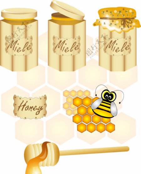 蜂蜜矢量素材图片