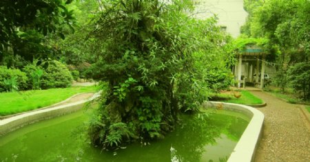 湘潭市一中自然风景图片