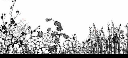 时尚花卉花纹花边系列透明分层素材图片
