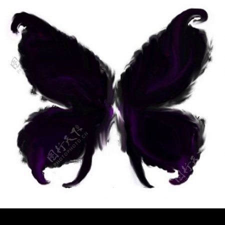 黑色蝴蝶翅膀模板图片