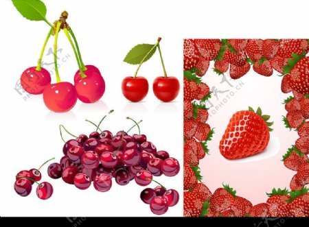 草莓和樱桃矢量素材图片
