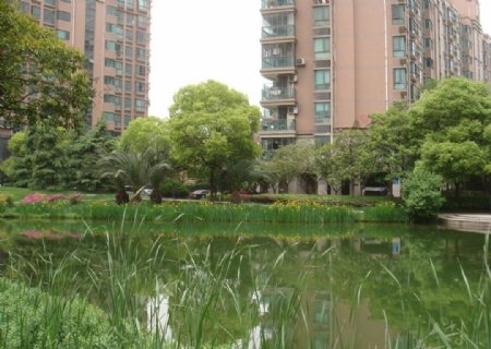 上海小区风貌图片