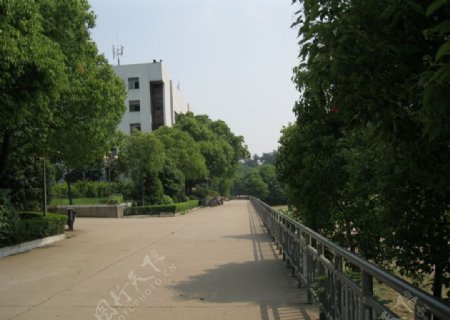 鄂州大学图片