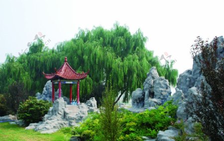 东营黄河生态公园图片