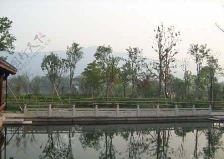 2009杭州园林绿化银奖之下孙村落图片