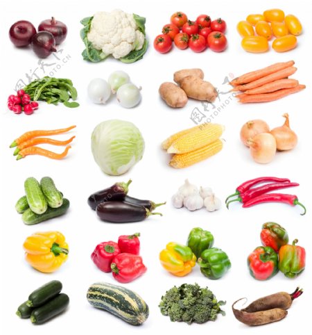 蔬菜大集合图片